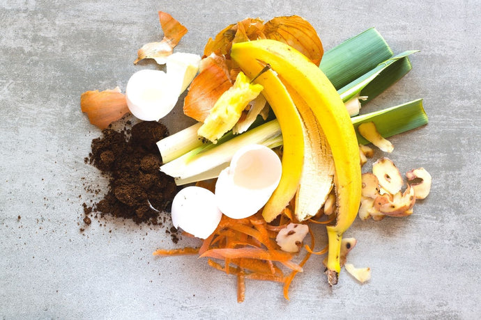 A beginner's guide to composting