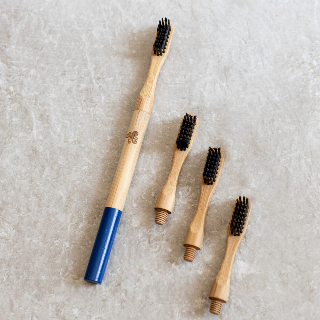 Refillable Toothbrushes 4-pack