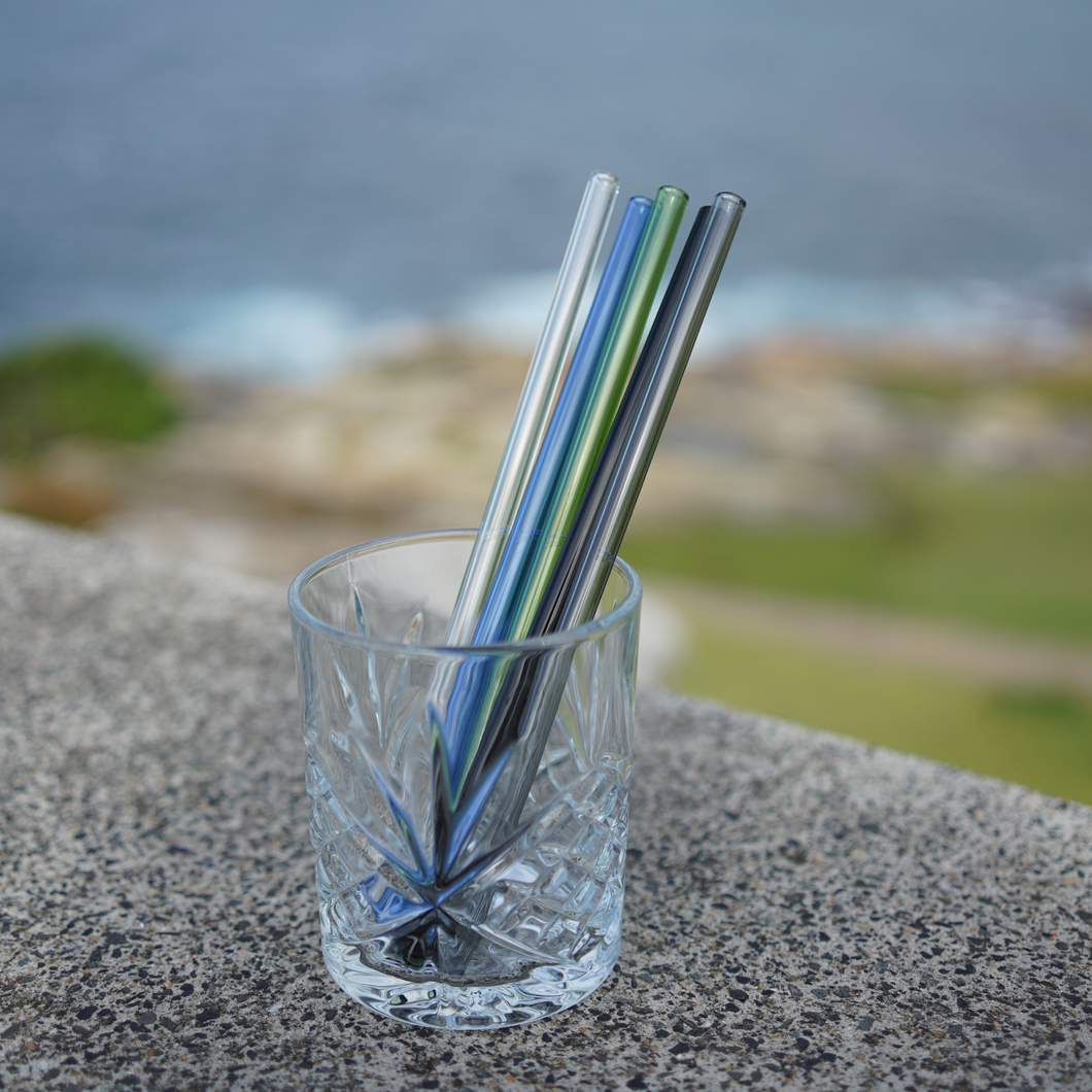 Reusable Glass Straw Set